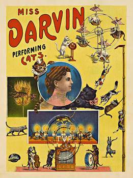 Mastered from a rare original antique stone lithograph poster; this is a great fun image: MISS DARVIN PERFORMING CATS. A turn of the century design with "Miss Darvin" in the center of the image of her cats on a ferris wheel; jumping through fire; wal